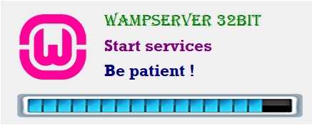 start wamp server