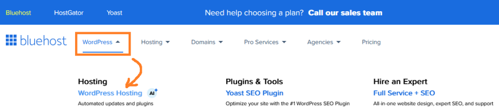 bluehost WordPress hosting