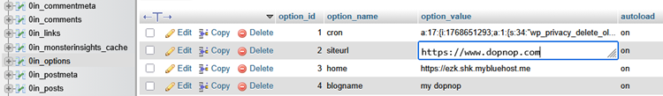 wordpress homepage url