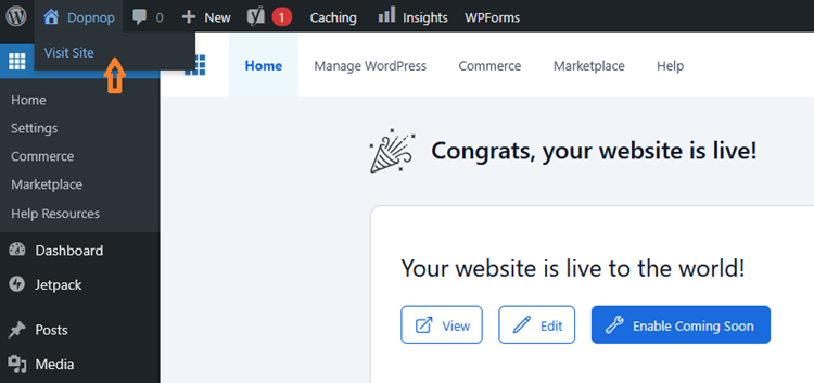 WordPress Dashboard
