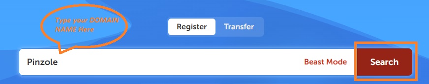 Enter Domain Name in Search Bar at Namecheap